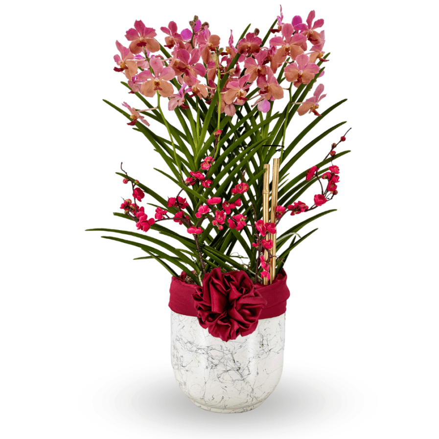 Papilionanda Arrangement | Scarlet Serenity 3 in 1