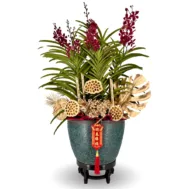 Aranda Arrangement | Golden Prosperity Orchid 4 in 1