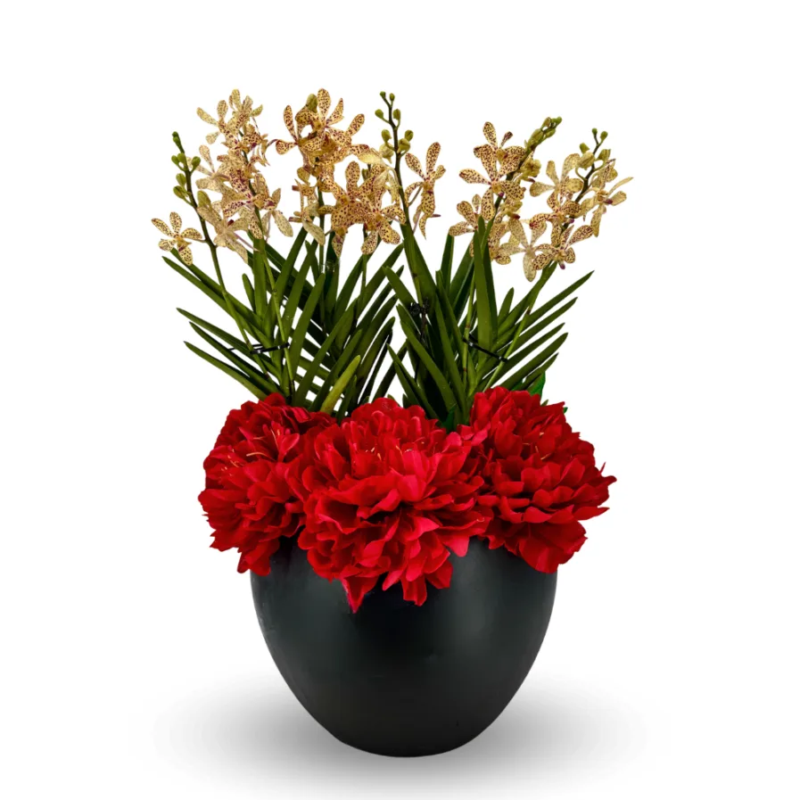 Vanda Arrangement | Strawberry Alba with Peony 3 in 1