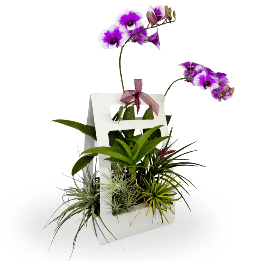 Orchid Air Garden Tote | Dendrobium Arrangement