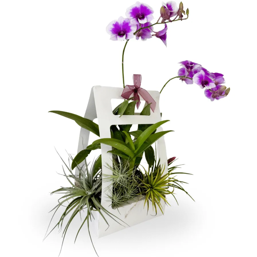 Orchid Air Garden Tote | Dendrobium Arrangement