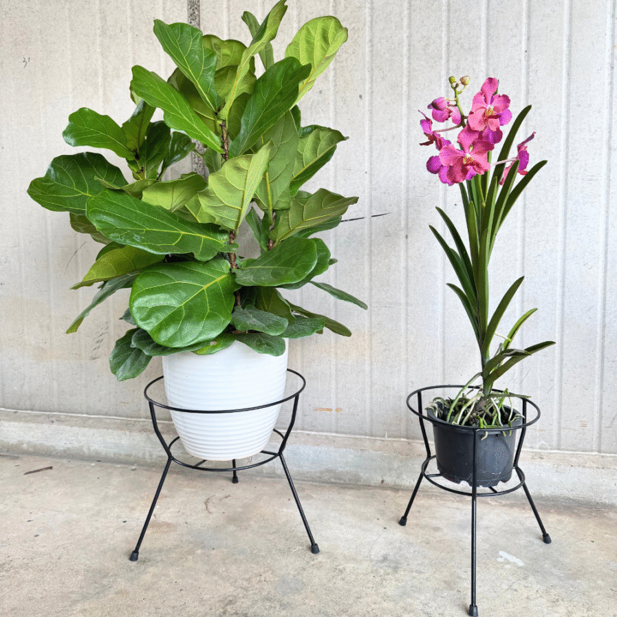 Metal Plant Stand – Garden Display [Series B]
