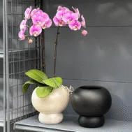 Luna Pod Planters