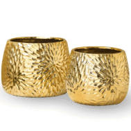 Solaris Bloom Planters