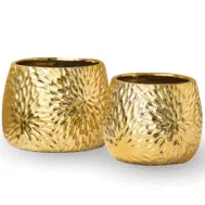 Solaris Bloom Planters