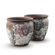 Fresco Bloom Vessel