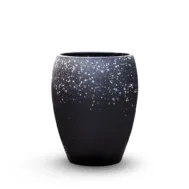 Starfall Vessel