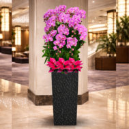 Phaleanopsis Arrangement | Golden Bloom Grandeur