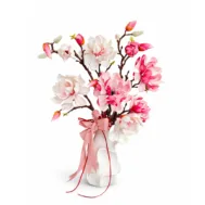 Blush Magnolia Grace