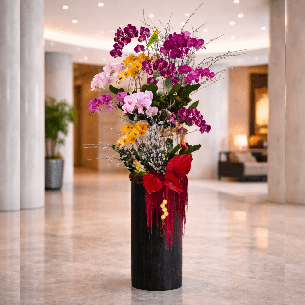 Phalaenopsis | Gilded Nest Ascension Phalaenopsis | Gilded Nest Ascension