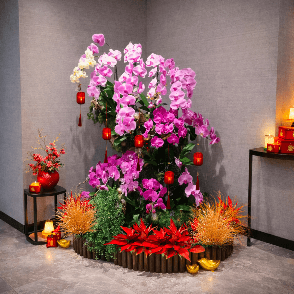 Phalaenopsis Display | Orchid Reverie Phalaenopsis Display | Orchid Reverie