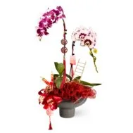 Phalaenopsis Arrangement | Steps to Prosperity