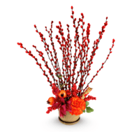 Pussy Willow Arrangement | Red Wealth Gathering