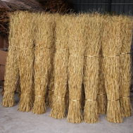 Tall Decorative Willow Branches (1.45m)