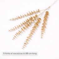Luxury Golden Eucalyptus Spray (88cm, 5 Forks)