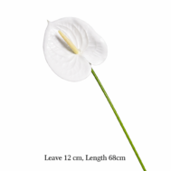 White Artificial Anthurium Flower Stem – 68cm