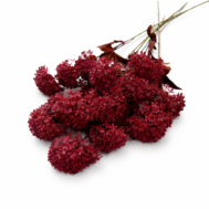 Burgundy Artificial Hydrangea Flower Bunch