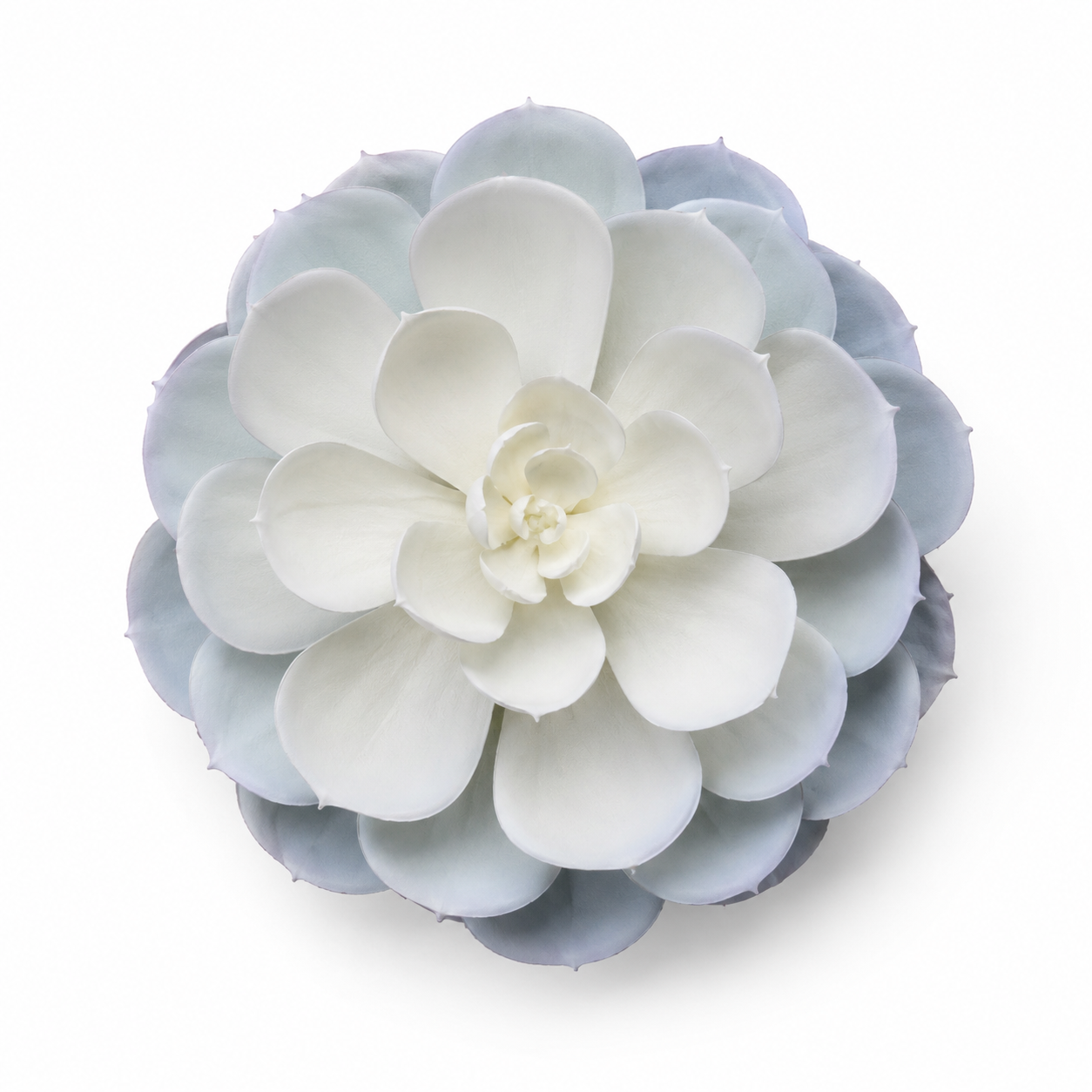 Artificial Snow White Rosette Succulent with layered leaves